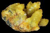 Sunshine Cactus Quartz Crystal - South Africa #96265-2